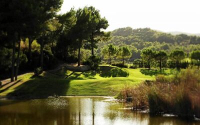 Son Muntaner Golf Course