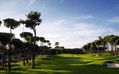 Carya Course