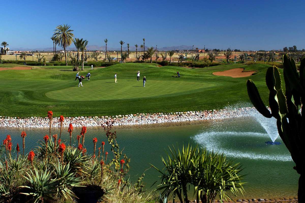 1200-1200-60-0-0-0 (2)